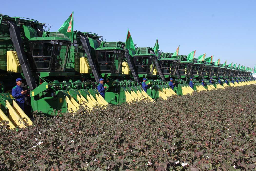 Cotton harvesting campaign starts in Dashoguz velayat